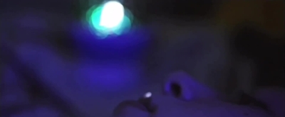 MMP970.jpg