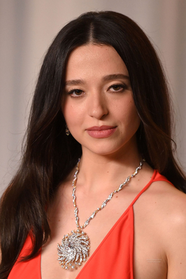 shutterstock_editorial_AcademyGala_17220386uj.jpg